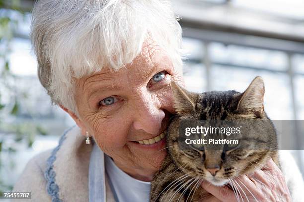 an elderly scandinavian woman and a cat sweden. - old woman cat stock-fotos und bilder