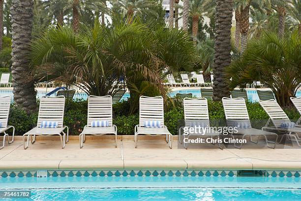 row of sun loungers at poolside - las vegas pool stock pictures, royalty-free photos & images