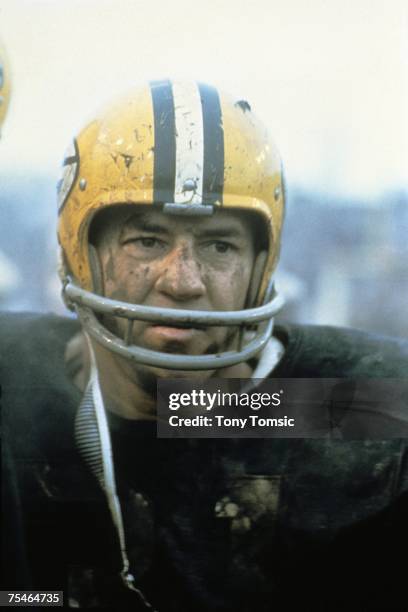 Runningback Jim Taylor of the Green Bay Packers watches the action from the sidelines during the NFL Championship Game on January 2, 1966 against the...