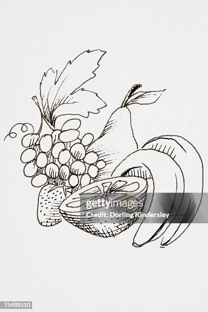 ilustraciones, imágenes clip art, dibujos animados e iconos de stock de line drawing of fruit including bananas, pear and grapes - bodegon productos