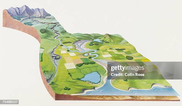 River System.drawing 11,517 River System Stock Photos, High-Res Pictures, and Images - Getty ...