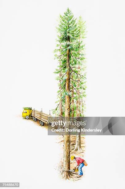 man wearing yellow hard hat, plastic mask and tools belt felling a tree in a forest with an electric saw, lorry loaded with trunks in background, elevated view - chainsaw stock illustrations