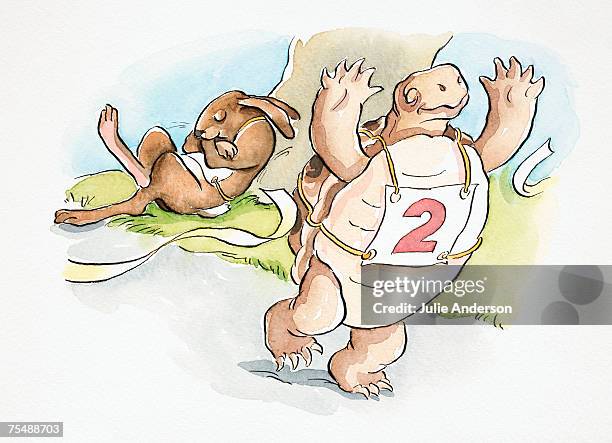 cartoon, tortoise walking upright tearing through race finish-line ribbon, raising its 'arms' in victory with number bib strapped to its belly, sleeping hare leaning on tree trunk in background, tortoise and the hare fable - tortoise stock illustrations