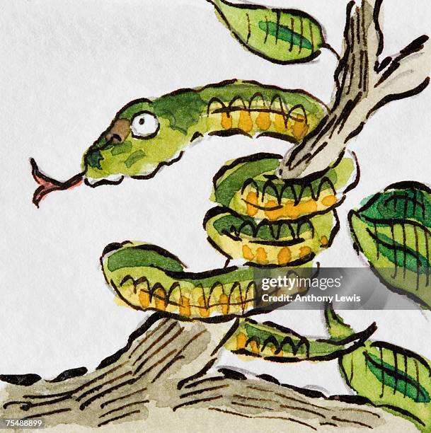 stockillustraties, clipart, cartoons en iconen met green snake coiled around tree branch with its tongue sticking out, side view, cartoon - gespleten tong