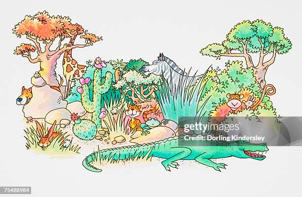 bildbanksillustrationer, clip art samt tecknat material och ikoner med cartoon, jungle scene with variety of animal species emerging from behind rocks and vegetation, giraffe, monkey, zebra, cat, frog, rabbit, crocodile, dog - cat dog rabbit