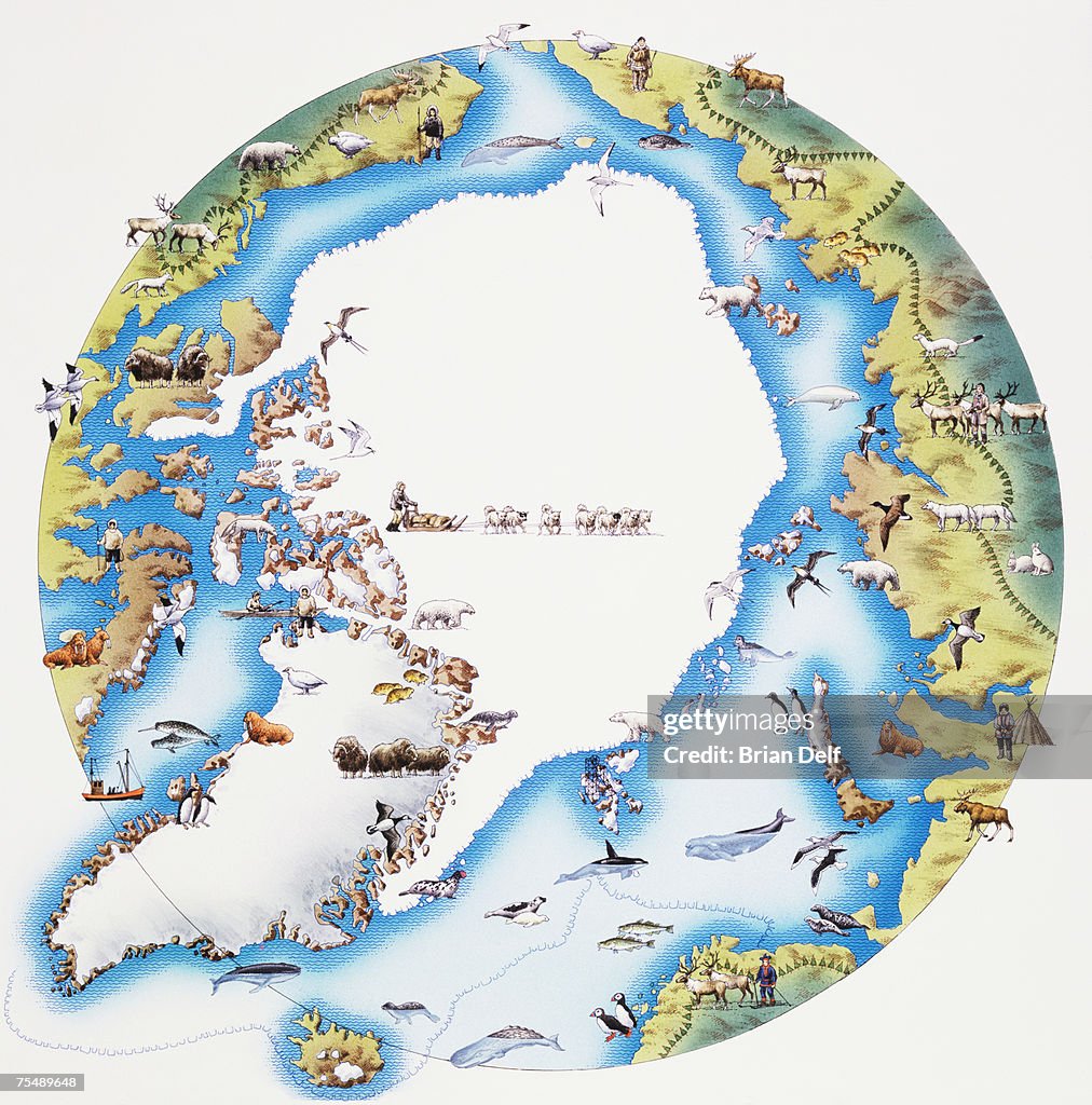 Map of Arctic