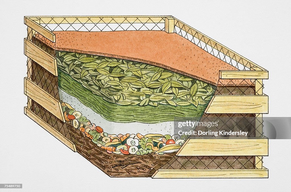 Compost heap, cross-section
