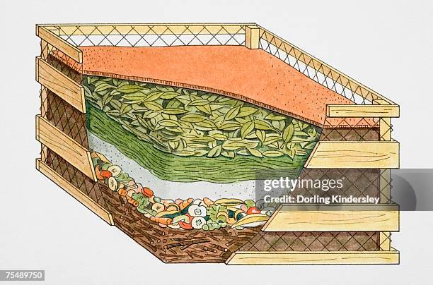 compost heap, cross-section - environmental science stock illustrations