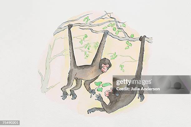 two monkeys swinging from branches of tree in jungle - monkey swinging stock illustrations