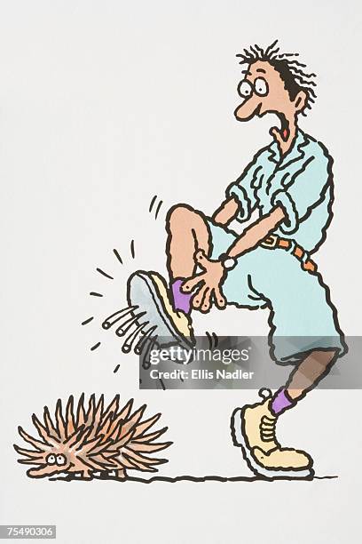 ilustraciones, imágenes clip art, dibujos animados e iconos de stock de comical depiction of male explorer leaping in pain with spines of echidna poking through sole of boot - echidna