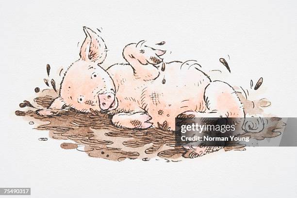 ilustraciones, imágenes clip art, dibujos animados e iconos de stock de comical depiction of piglet rolling in mud - piglet white background