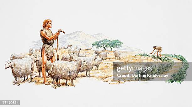 illustrazioni stock, clip art, cartoni animati e icone di tendenza di early man tending to flock of sheep, tending to crops - early homo sapiens