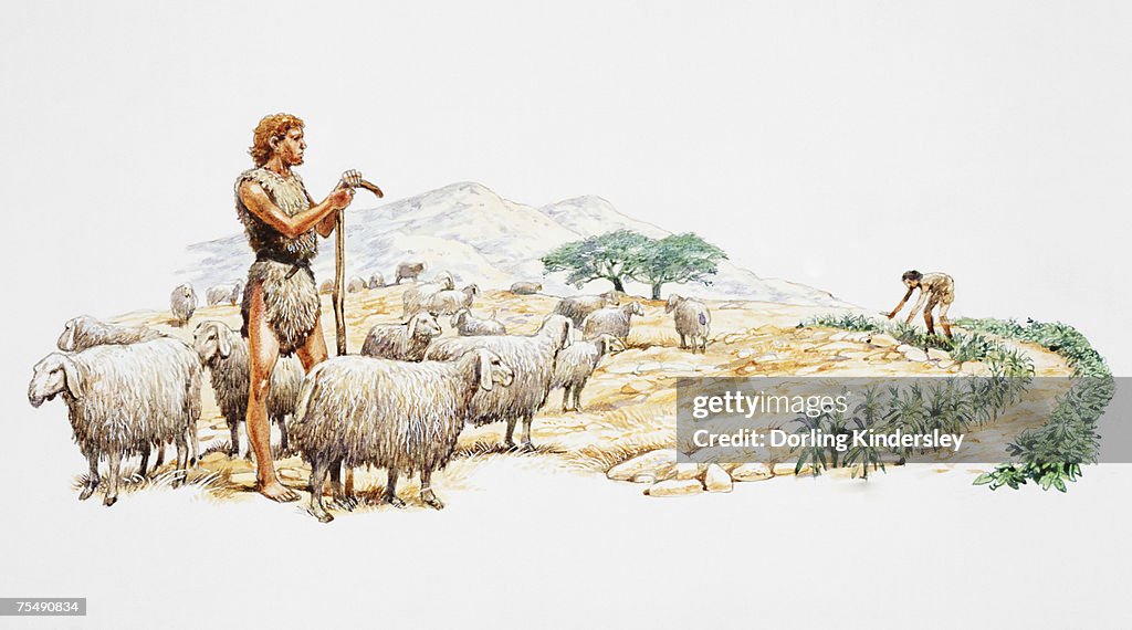 Early man tending to flock of sheep, tending to crops
