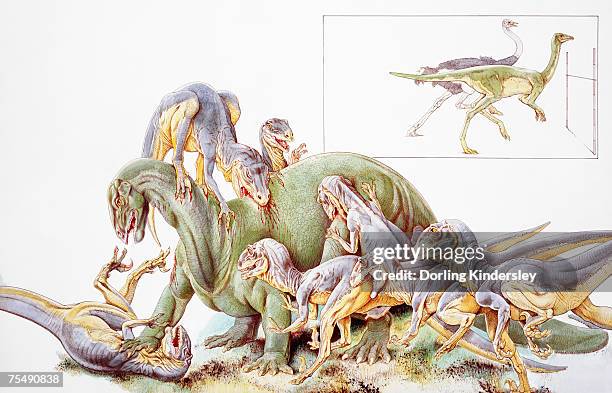 deinonychus antirrhopus, large group violently attacking larger dinosaur - deinonychus stock-grafiken, -clipart, -cartoons und -symbole