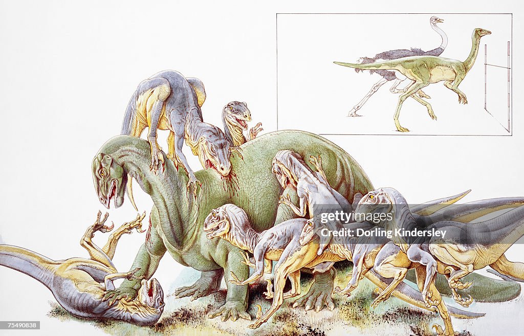 Deinonychus antirrhopus, large group violently attacking larger dinosaur