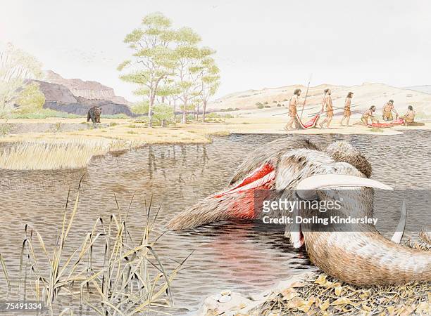 discarded bloody körper eines mammuts im pool - stoßzahn stock-grafiken, -clipart, -cartoons und -symbole