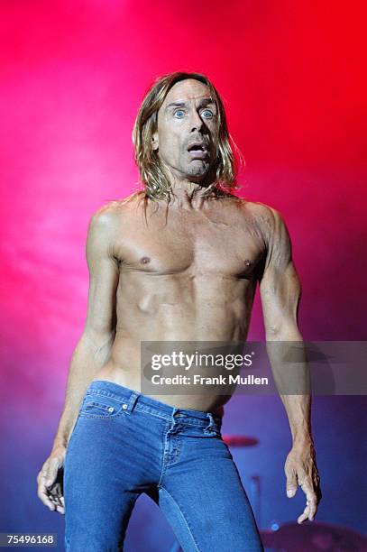 Iggy Pop and the Stooges at the City Park in New Orleans, Louisiana