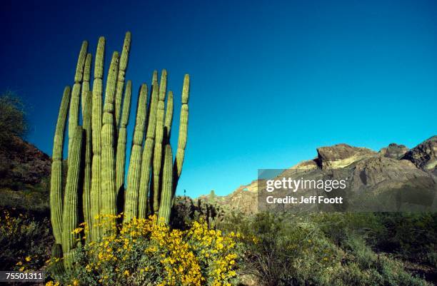 45 Tall Skinny Rock Stock Photos, High-Res Pictures, and Images - Getty ...