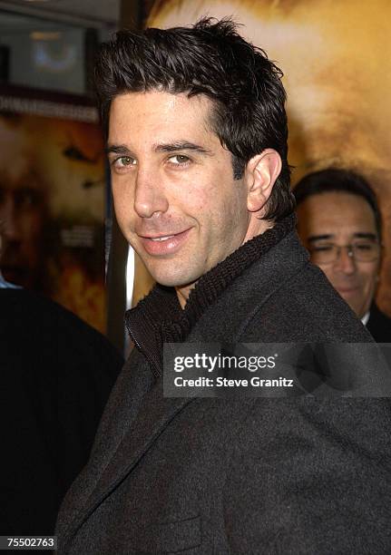 David Schwimmer at the Mann's Village in Westwood, California