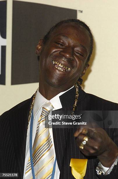 Flavor Flav at the Shrine Auditorium in Los Angeles, California