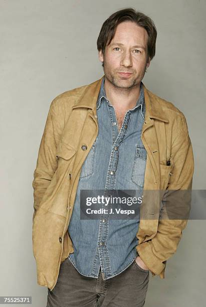 David Duchovny at the Henry Fonda Theatre in Hollywood, California