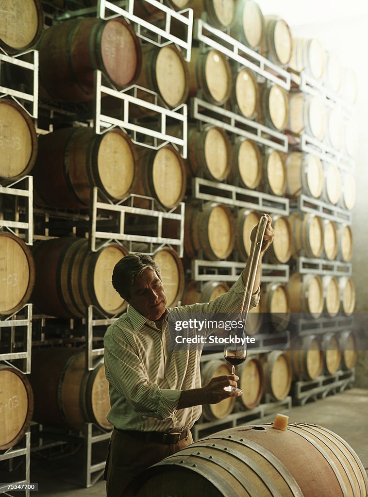 Senior vintner testing wine from barrel in cellar