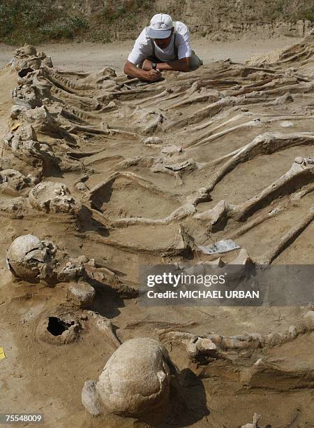 An archaeologist works 19 July 2007 at a dig near Wittstock, eastern Germany, on the uncovering of a mass grave of soldiers who died during the...