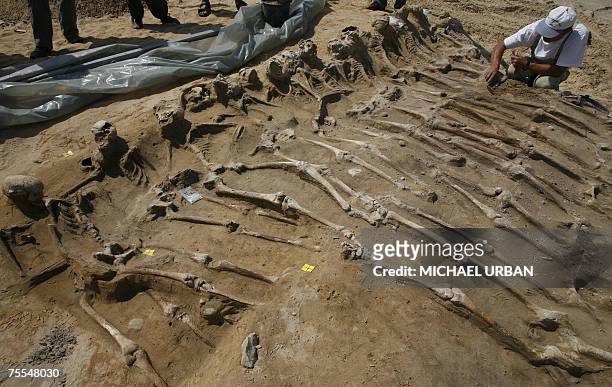 An archaeologist works 19 July 2007 at a dig near Wittstock, eastern Germany, on the uncovering of a mass grave of soldiers who died during the...
