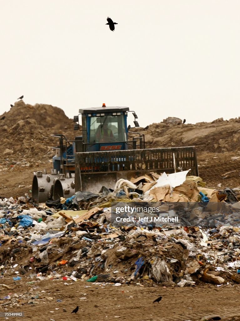 Landfill Site To Become Urban Forest By 2012