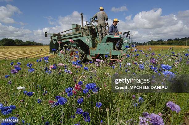 Fallowed 27 Audrieu Stock Photos, High-Res Pictures, and Images - Getty Images