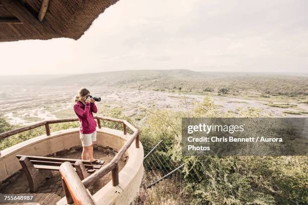 woman taking picture at overlook in kruger national park, south africa - kruger national park stock-fotos und bilder