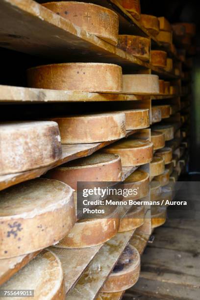 swiss cheeses stacked in farm in valley of grindelwald, bernese oberland, switzerland - grindelwald stock pictures, royalty-free photos & images