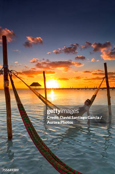 woman in hammock at sunset, holbox island, cancun, yucatan, mexico  - cancun mexico stock pictures, royalty-free photos & images