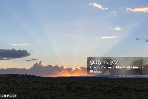 sunset over desert, elko, nevada, usa - elko nevada stock pictures, royalty-free photos & images