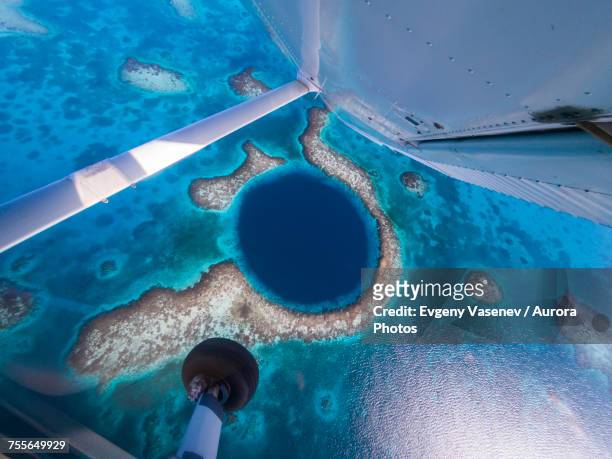 view from flying plane of great blue hole, belize - great blue hole imagens e fotografias de stock