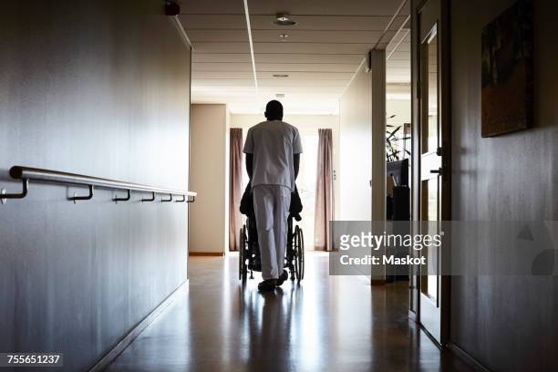 full length rear view of male nurse pushing senior man on wheelchair at hospital corridor - corridor bildbanksfoton och bilder