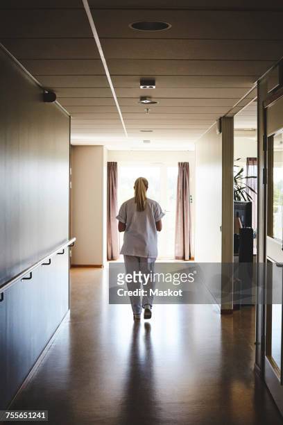 full length rear view of female nurse walking in hospital corridor - female nurse stockfoto's en -beelden