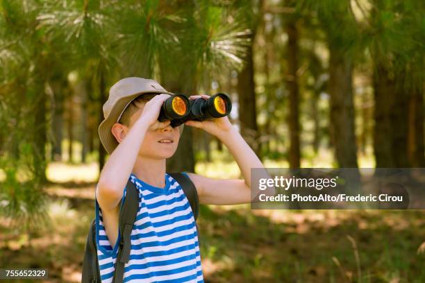 boy using binoculars in woods - bird watching stock pictures, royalty-free photos & images