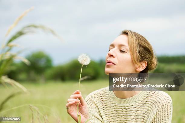 woman blowing dried dandelion flower - dandelion blowing stock pictures, royalty-free photos & images