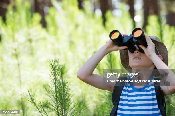 boy looking through binoculars - children bird watching stock pictures, royalty-free photos & images