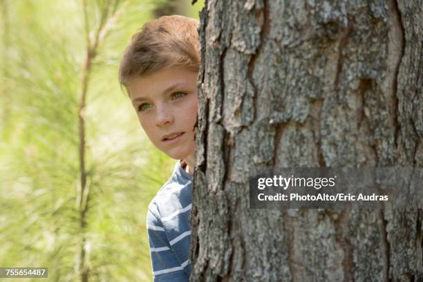 boy peeking around tree trunk - looking around stock pictures, royalty-free photos & images