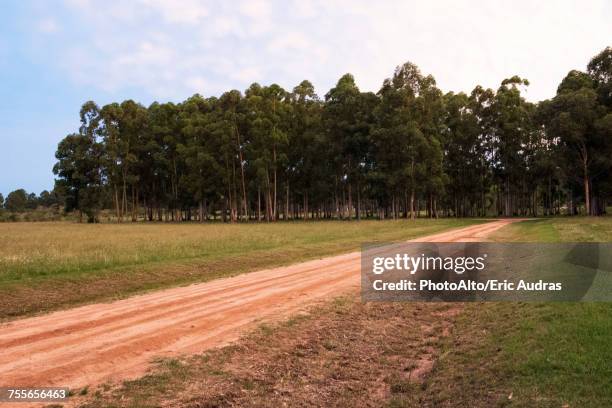 dirt road in rural landscape - argentina dirt road panorama stock pictures, royalty-free photos & images