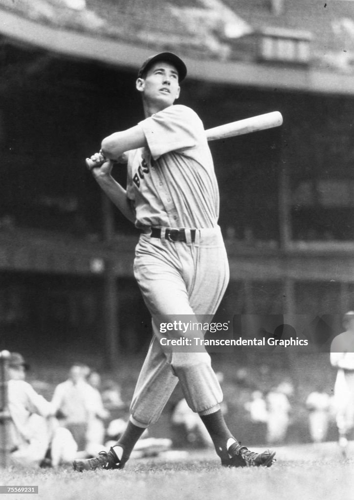 Ted Williams Classic Swing 1