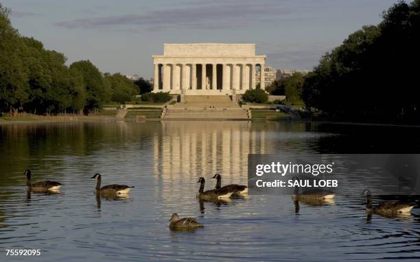 Washington, UNITED STATES: A flock of geese swim across the reflecting pool on the National Mall, near the Lincoln Memorial, in Washington, DC, 21...