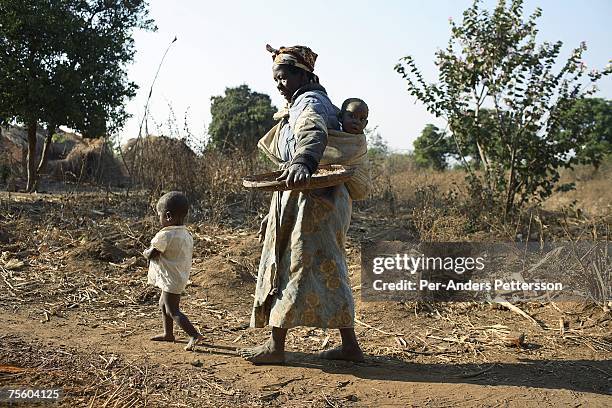 Maliyasa Notice, age 70, collects maize on the ground with her grandchildren on August 18, 2006 in Mphandula village, about 30 miles outside...