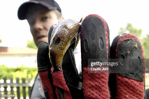 48 Francis Kohn Stock Photos, HighRes Pictures, and Images Getty Images