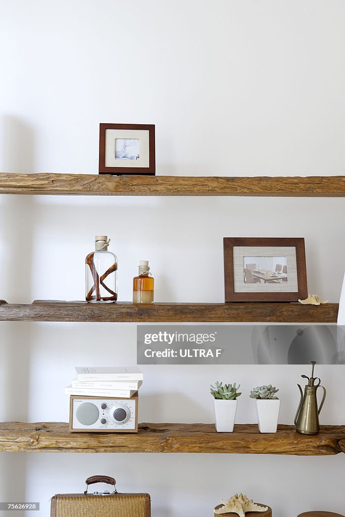 Framed photographs, decorative jars and potted plants on natural wooden shelves