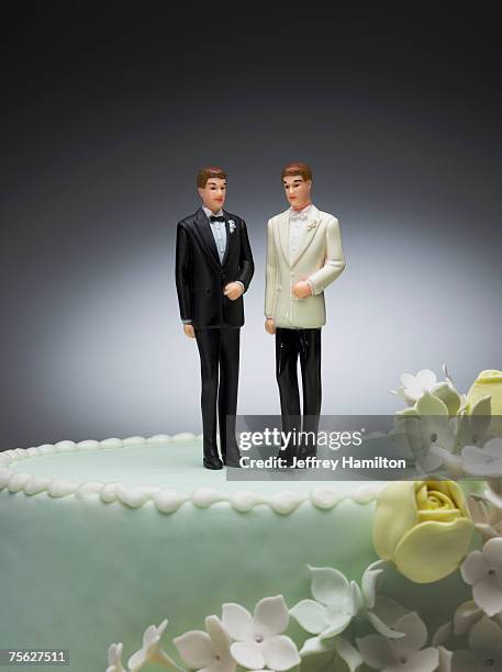 two groom figurines on top of wedding cake - ウェディングケーキの人形 ストックフォトと画像