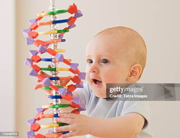 baby playing with dna model - genius concept stock pictures, royalty-free photos & images