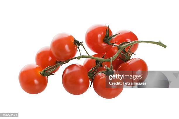 close up of tomatoes on vine - cherry tomato stock pictures, royalty-free photos & images